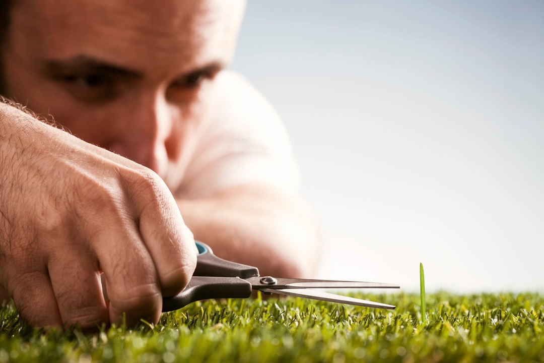 Man trims one blade of grass with scissors.
