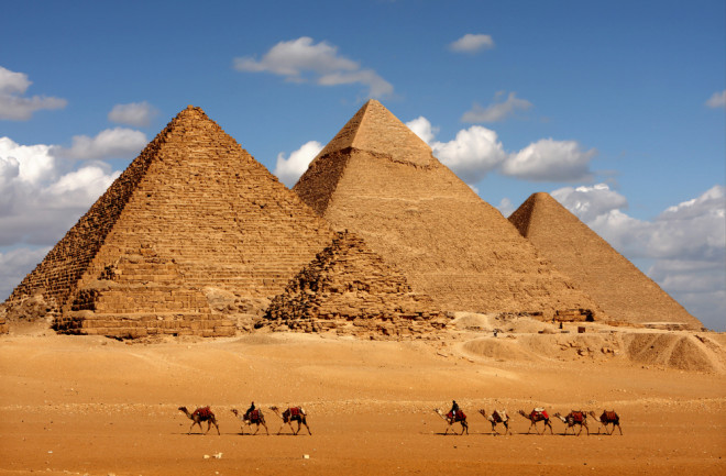 A group of camels in front of a pyramid

Description automatically generated with medium confidence