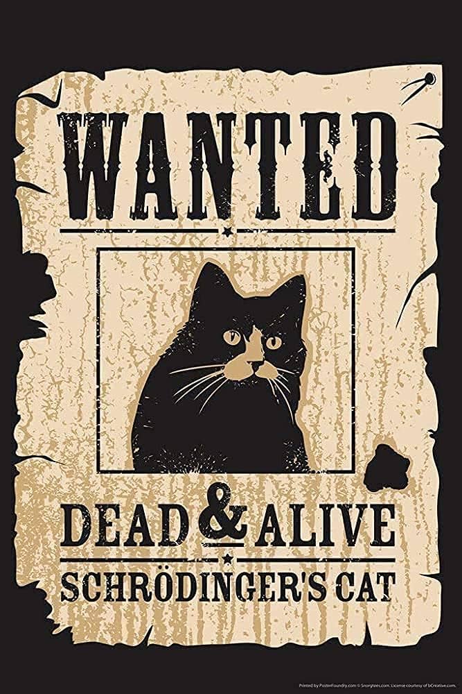 A wanted sign with a cat

Description automatically generated